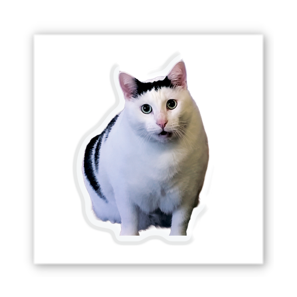 Обʼємна наліпка "Cat Says" SX-381 фото