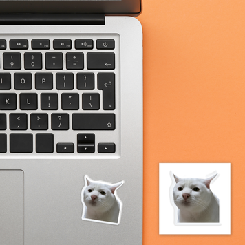 3D стікер на телефон "Cat Meme" SX-422 фото