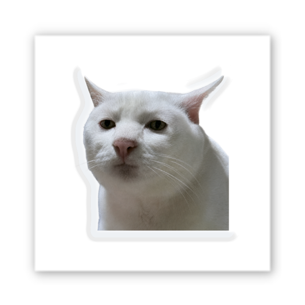3D стікер на телефон "Cat Meme" SX-422 фото