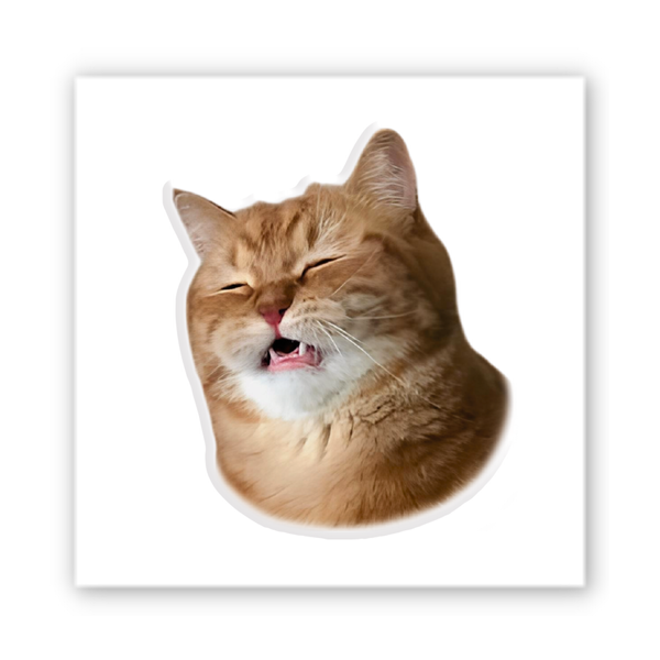 Об&rsquo;ємна 3D наклейка "Funny Cat" SX-380 фото