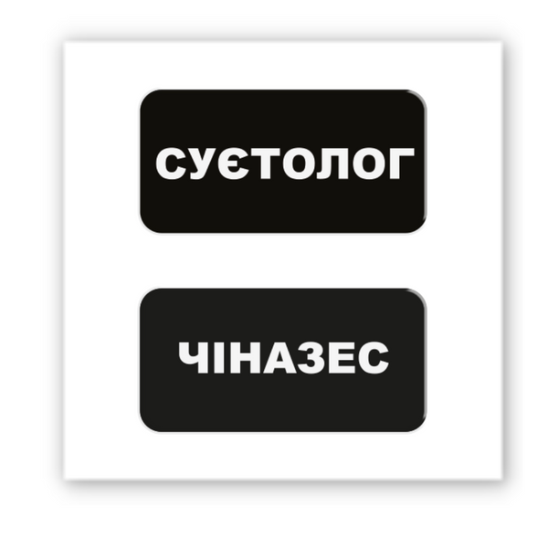Об&rsquo;ємна 3D наклейка "Суєтолог" SX-210 фото
