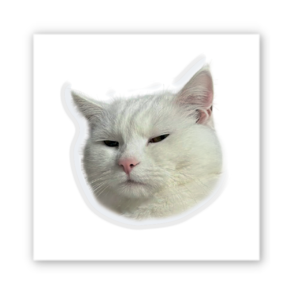 3D стикер"Serious Cat" SX-396 фото